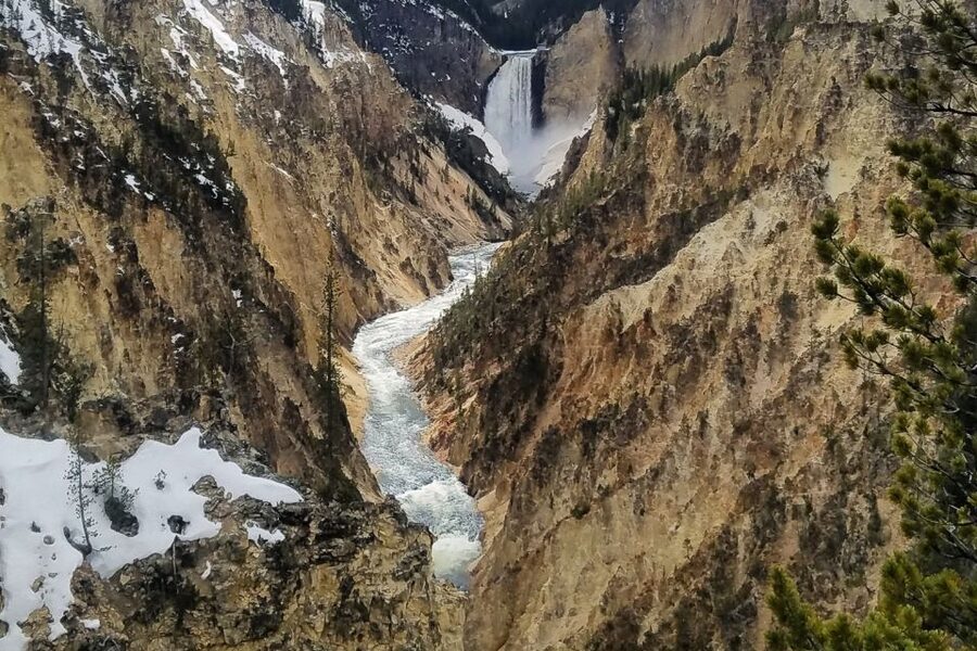From Jackson: Yellowstone National Park Day Trip with Lunch - The picnic lunch and van ride