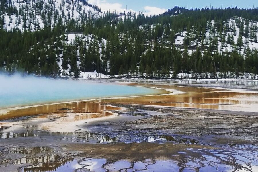 From Jackson: Yellowstone National Park Day Trip with Lunch - Weather, clothing, and physical effort