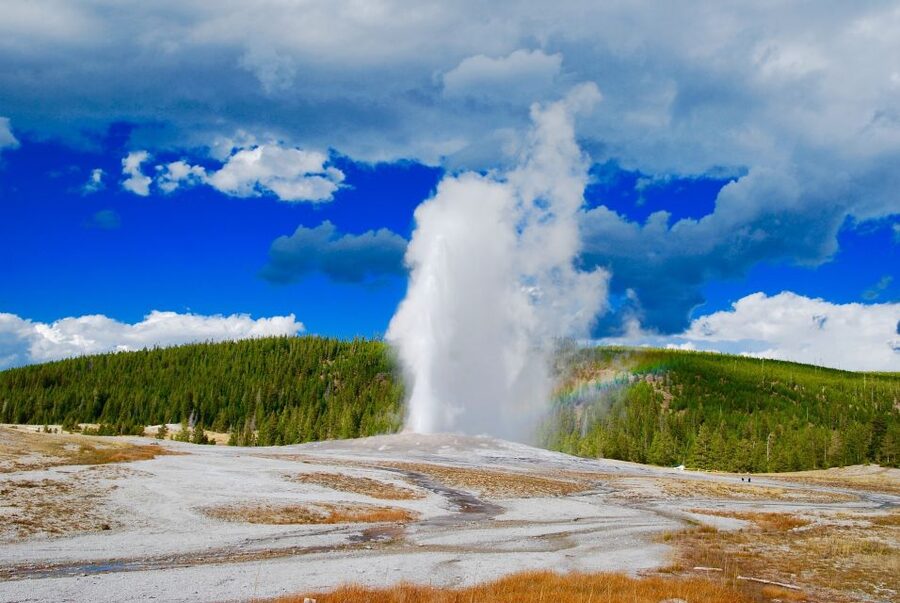 From Jackson: Yellowstone National Park Day Trip with Lunch - Old Faithful and the Upper Geyser Basin