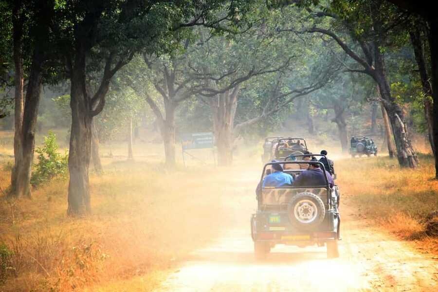 From Jaipur: Ranthambore National Park Day Trip with Safari - What $85 really buys you