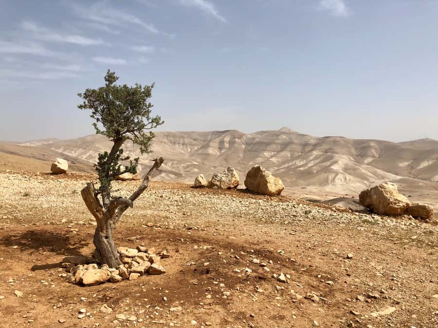 From Jerusalem: Jericho and Jordan River Half-Day Trip - Key points to know before you go