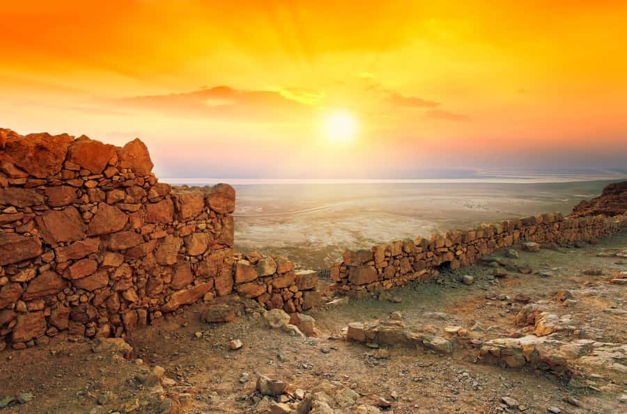 From Jerusalem: Masada Sunrise, Ein Gedi & Dead Sea Day Trip - Ein Gedi, a green oasis in the desert