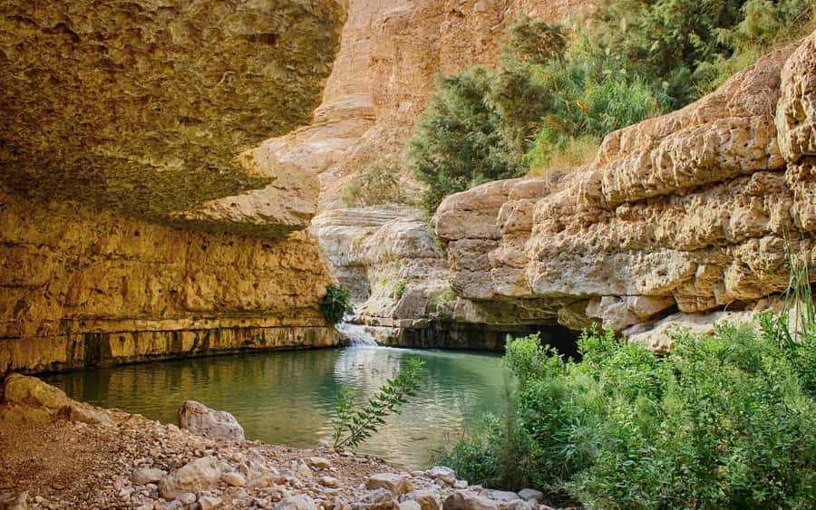 From Jerusalem: Masada Sunrise, Ein Gedi & Dead Sea Day Trip - What your Masada visit includes