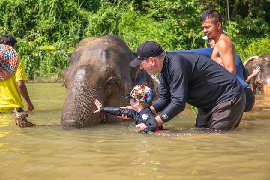 From Khao Lak: Day Trip to Khao Sok with Elephant Camp Visit - Key points at a glance