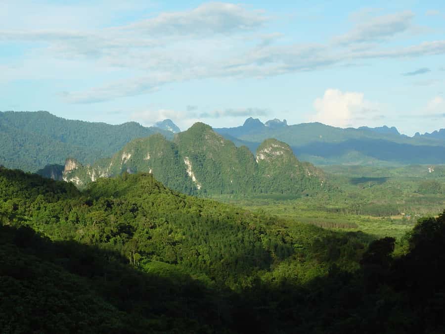 From Khao Lak: Day Trip to Khao Sok with Elephant Camp Visit - Canoeing below limestone cliffs