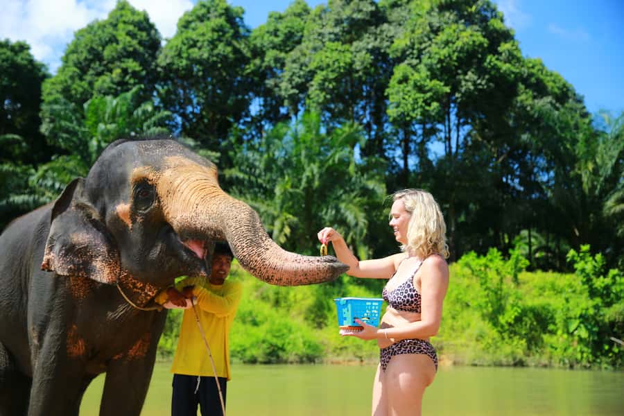 From Khao Lak: Day Trip to Khao Sok with Elephant Camp Visit - How to prepare for a wet, active day