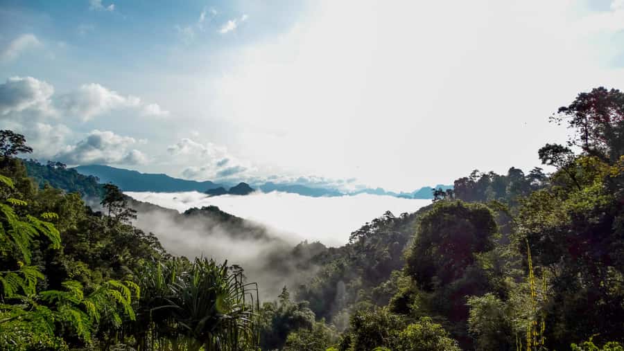 From Khao Lak: Day Trip to Khao Sok with Elephant Camp Visit - Who will enjoy this Khao Sok day trip