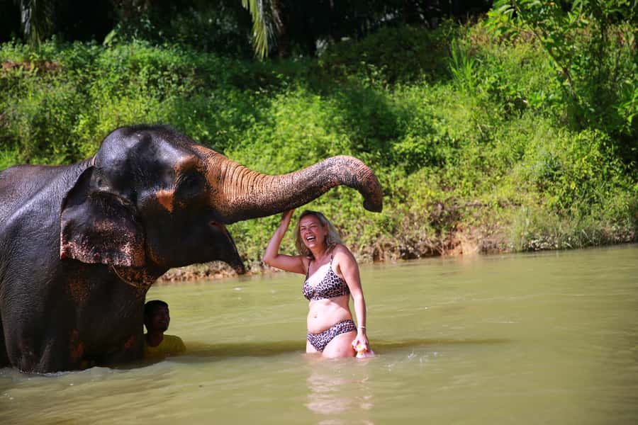 From Khao Lak: Day Trip to Khao Sok with Elephant Camp Visit - Should you book it?