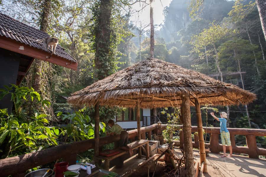 From Khao Lak: Day Trip to Khao Sok with Elephant Camp Visit - A quick market and monkey stop