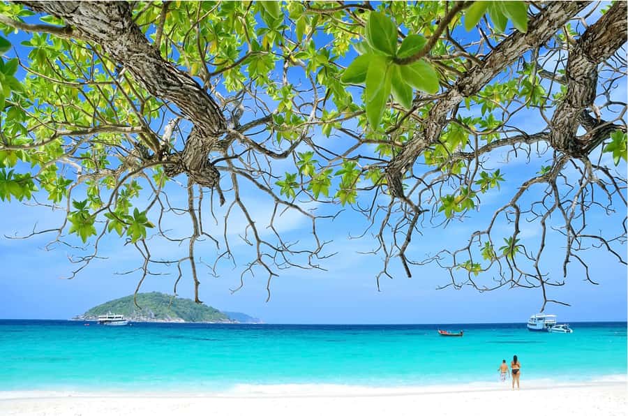 From Khao Lak: Similan Islands Day Trip with Snorkeling - Koh Payu and the second chance in the water
