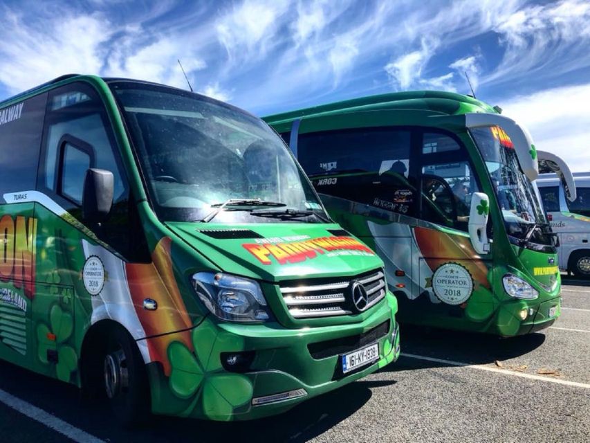 From Killarney: Day Trip to Dingle - Ballyferriter and the Irish-speaking peninsula