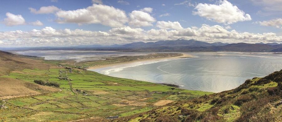 From Killarney: Day Trip to Dingle - Who should book this Dingle Peninsula tour?