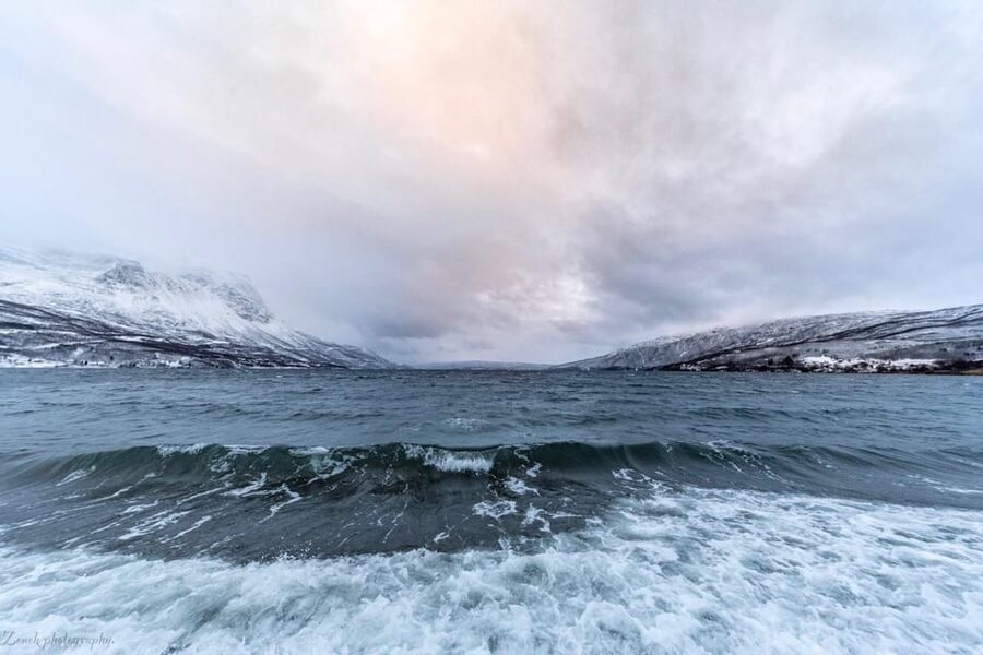 From Kiruna: Narvik City and Fjord Day Trip - Arriving in Narvik and seeing the fjord