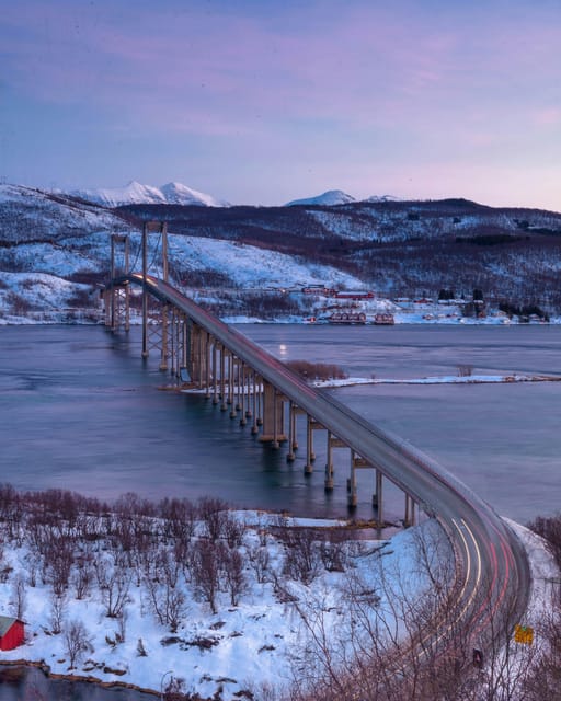 From Kiruna: Narvik City and Fjord Day Trip - Wildlife, photography, and the right pace
