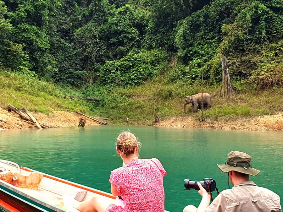 From Krabi: Cheow Lan Lake Day Trip with Lunch at Rafthouse - Rainforest Hiking and Diamond Cave