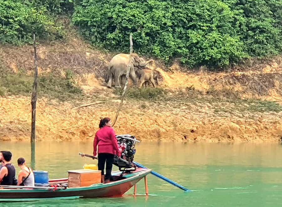 From Krabi: Cheow Lan Lake Day Trip with Lunch at Rafthouse - Lunch at the Floating Restaurant and Raft House