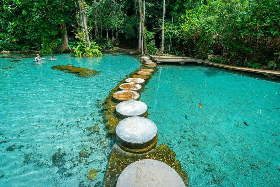 From Krabi: Khao Sok Cheow Lan Lake Day Trip - What is included for $130