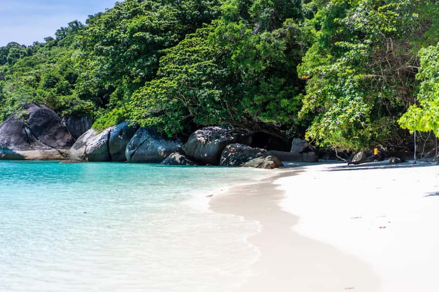 From Krabi: Similan Islands Day Trip by Speedboat - What the $104 price really covers