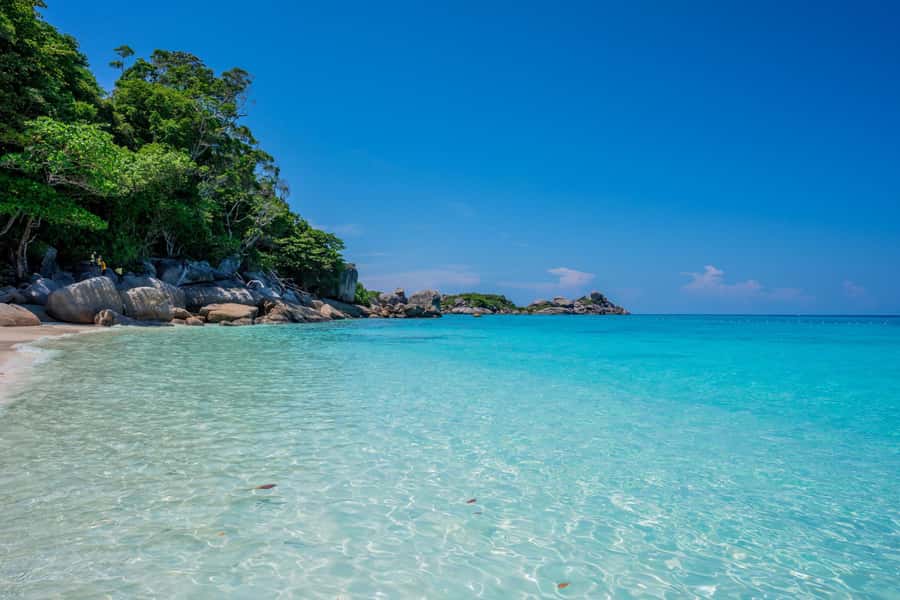 From Krabi: Similan Islands Day Trip by Speedboat - Who will enjoy this trip most