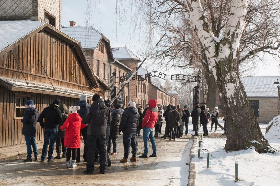 From Krakow: Auschwitz and Wieliczka Salt Mine Full-Day Trip - Auschwitz-Birkenau: a visit that demands attention