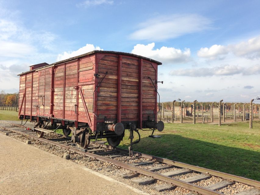 From Krakow: Auschwitz and Wieliczka Salt Mine Full-Day Trip - Birkenau and the practical side of a memorial visit