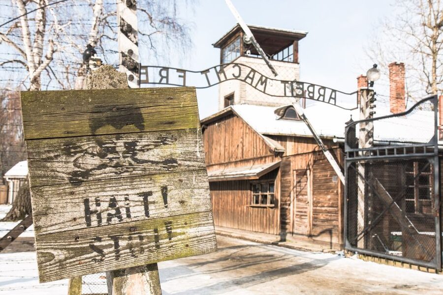 From Krakow: Auschwitz and Wieliczka Salt Mine Full-Day Trip - Wieliczka Salt Mine: 800 steps below the surface