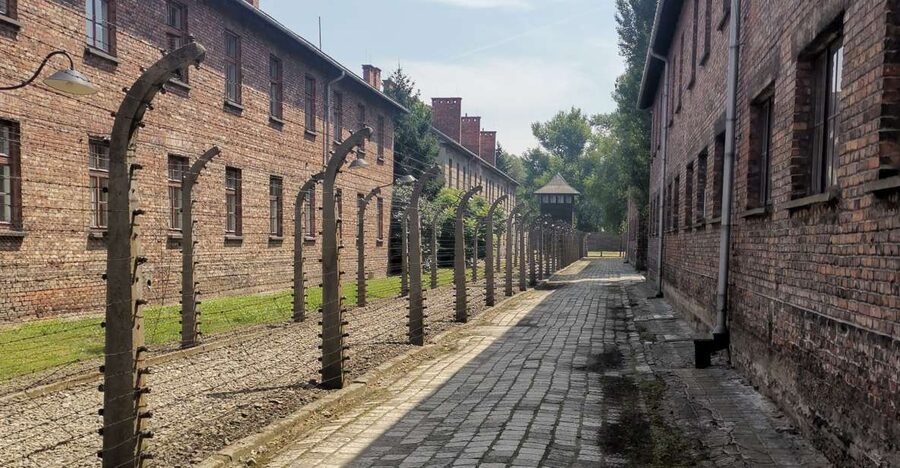 From Krakow: Auschwitz-Birkenau Camp Complex Guided Day Trip - Key points to know before you book