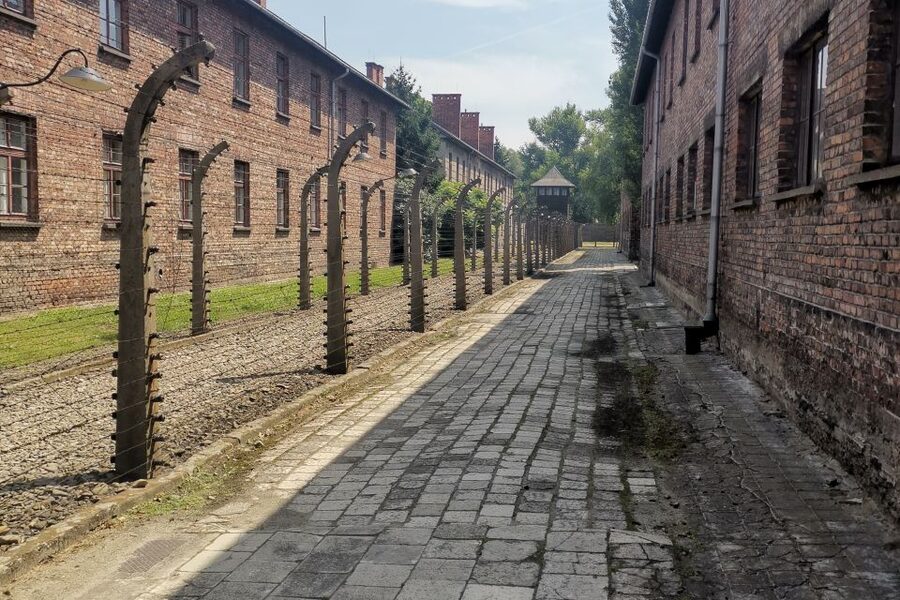 From Krakow: Auschwitz-Birkenau Camp Complex Guided Day Trip - Who should choose this day trip?