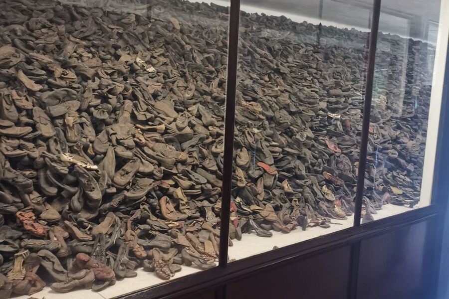 From Krakow: Auschwitz-Birkenau Camp Complex Guided Day Trip - Leaving Krakow for a difficult day of history