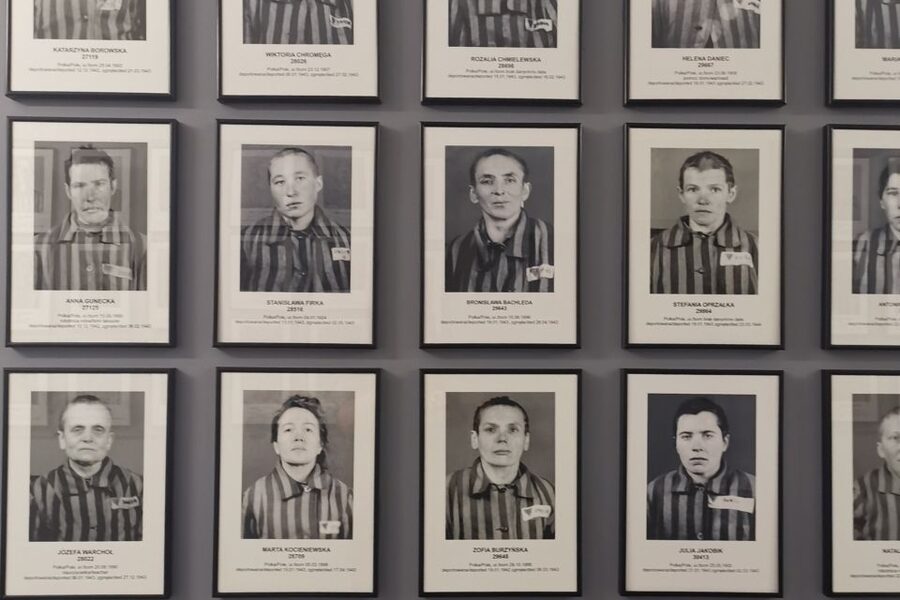 From Krakow: Auschwitz-Birkenau Camp Complex Guided Day Trip - Shoes, suitcases, glasses, and the human cost