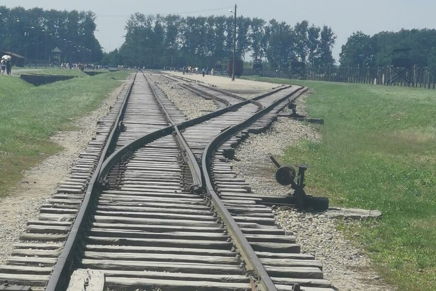 From Krakow: Auschwitz-Birkenau Camp Complex Guided Day Trip - Understanding Auschwitz, Birkenau, and Monowitz