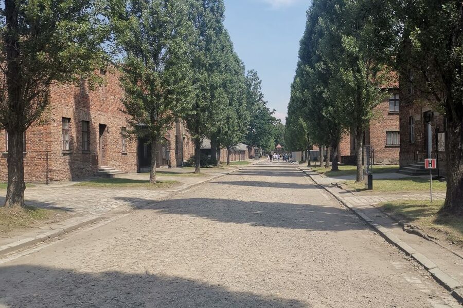 From Krakow: Auschwitz-Birkenau Camp Complex Guided Day Trip - Why the Italian guide makes a difference