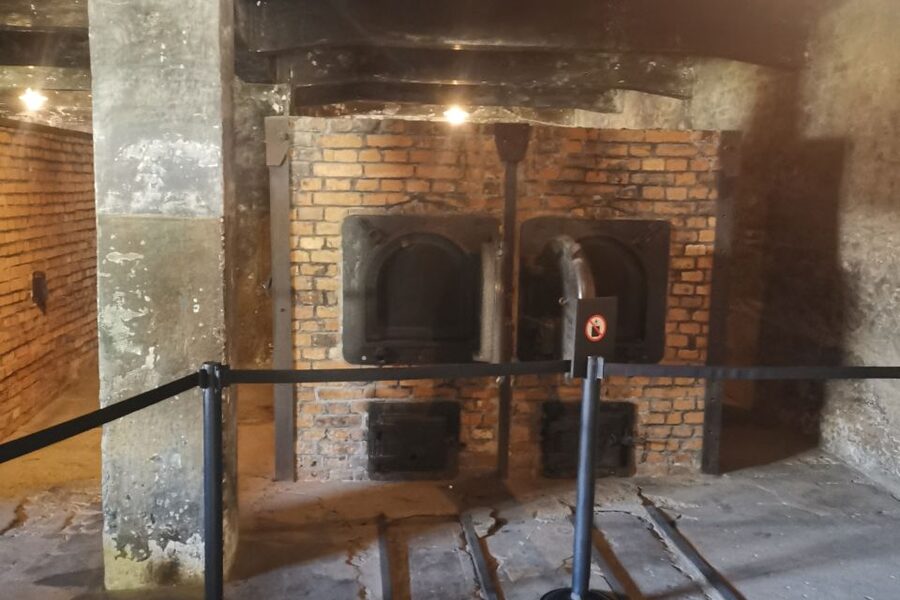 From Krakow: Auschwitz-Birkenau Camp Complex Guided Day Trip - How the $83 price works as a value