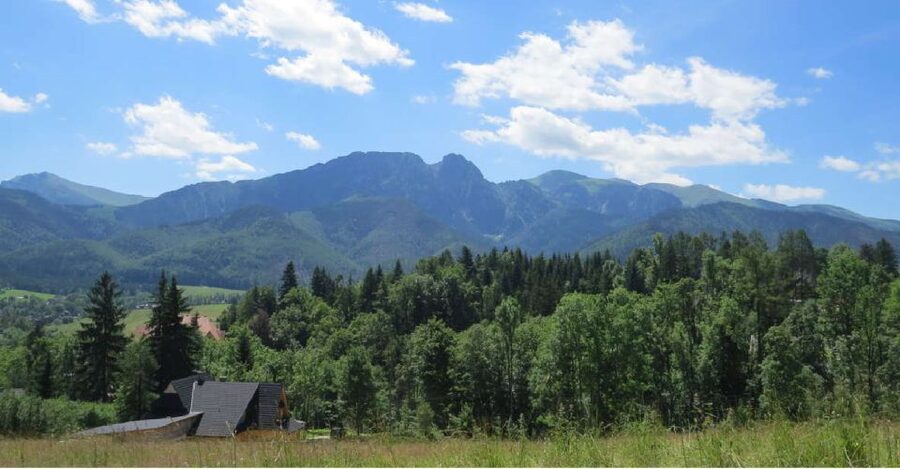 From Krakow: Morskie Oko and Zakopane Day Trip - The drivers and the feel of the service
