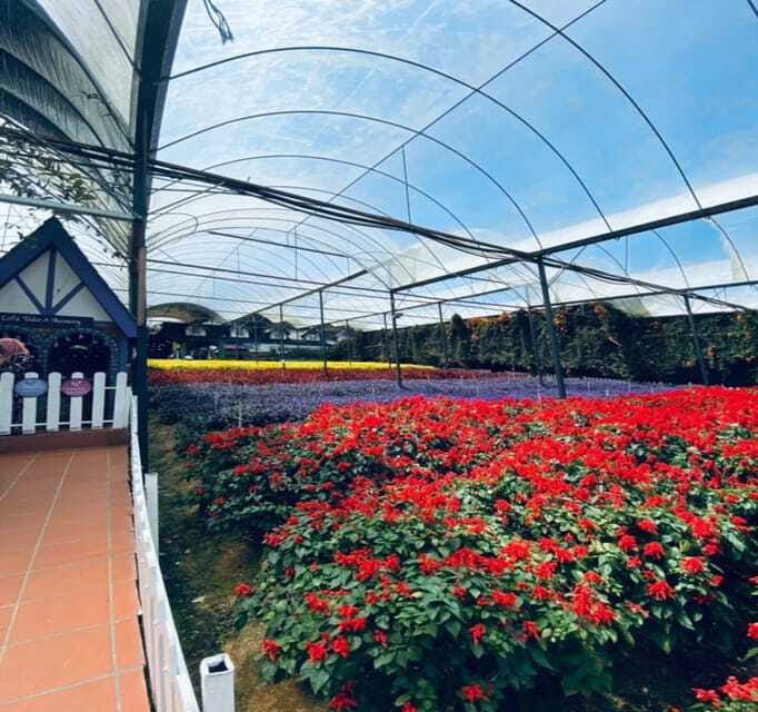 From Kuala Lumpur: Cameron Highlands Day Trip with Transfers - What the private format really adds