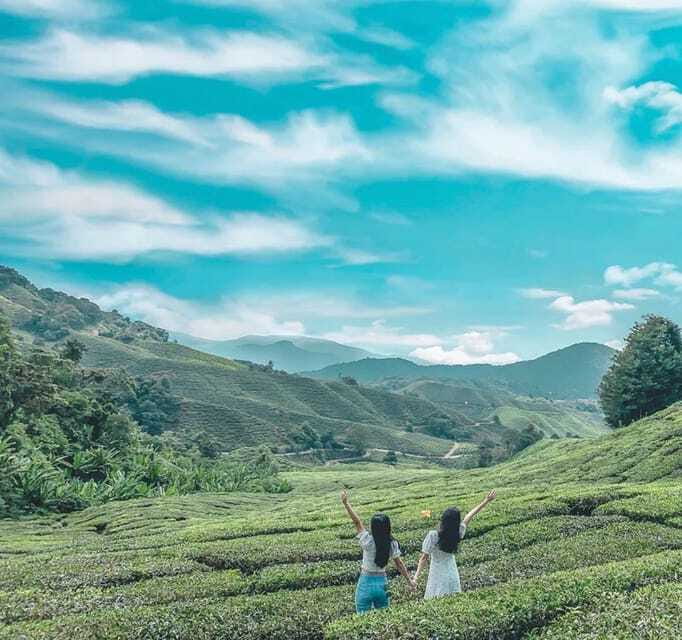 From Kuala Lumpur: Cameron Highlands Day Trip with Transfers - Bharat Tea Farm and the best mountain views
