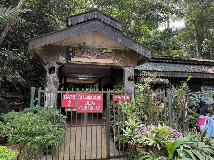 From Kuala Lumpur: Kuala Gandah Elephant Sanctuary Day Trip - Practical tips for a smoother day