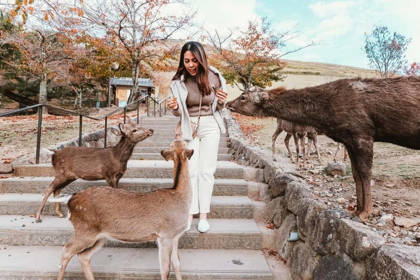 From Kyoto: Nara, Osaka & Kobe Day Trip – 3 Cities in 1 Day - How the timing really feels