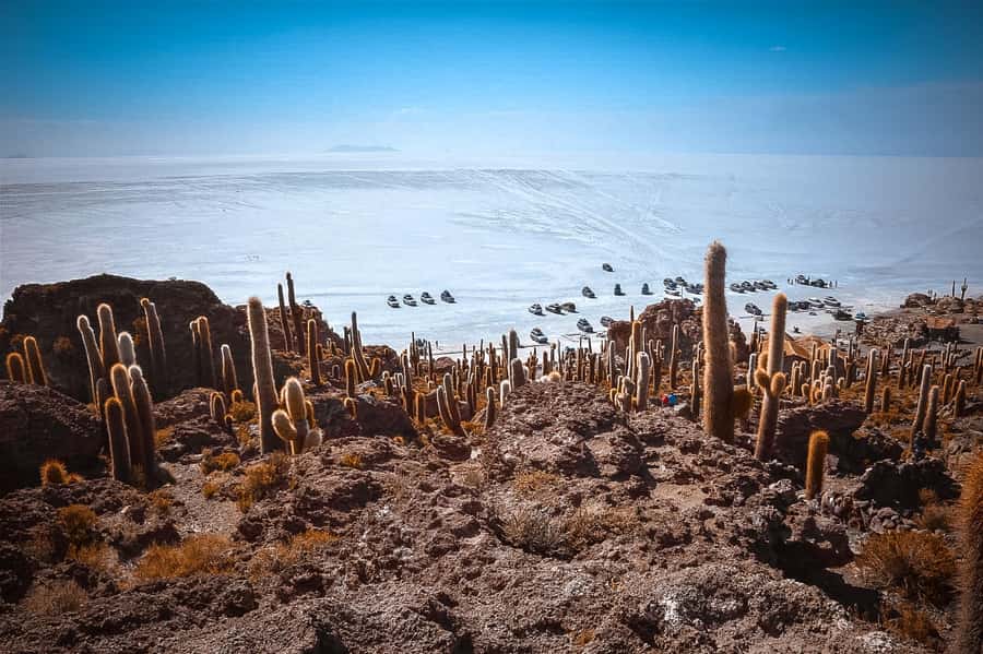 From La Paz: 4-Day Trip to San Pedro de Atacama w/Salt Flats - Who should book this route from La Paz?