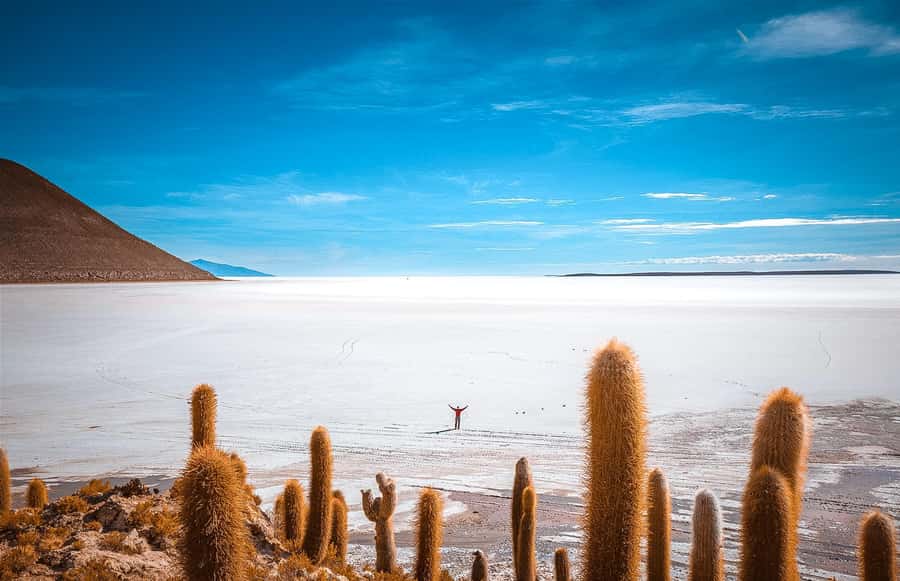 From La Paz: 4-Day Trip to San Pedro de Atacama w/Salt Flats - Train Cemetery and Colchani: a quick introduction to Uyuni