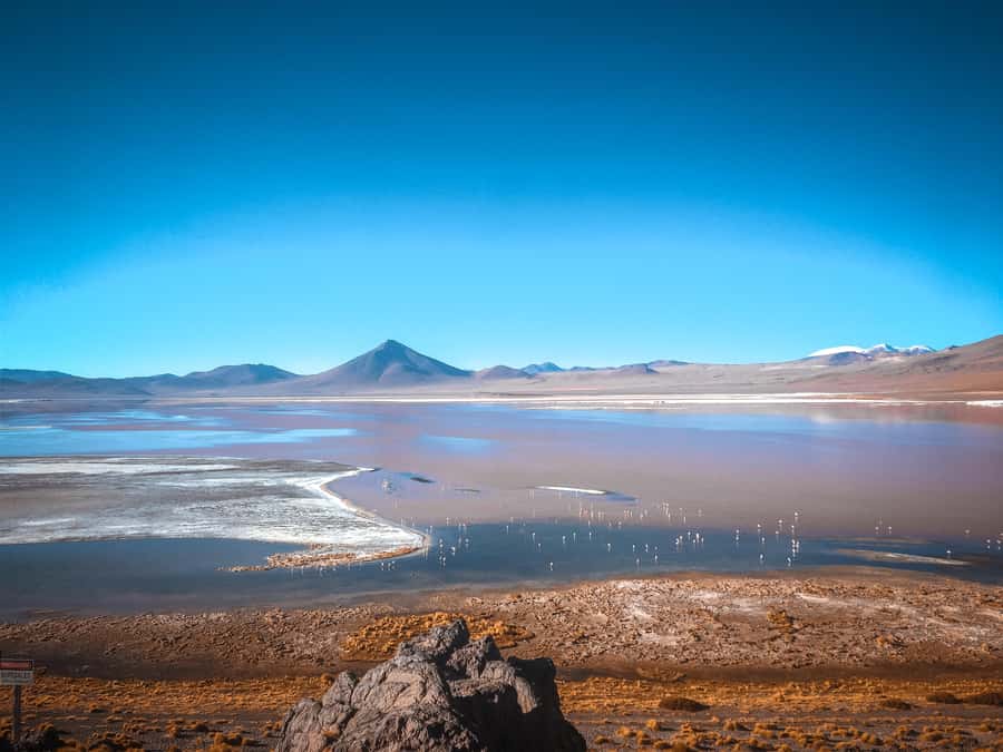 From La Paz: 4-Day Trip to San Pedro de Atacama w/Salt Flats - Salar de Uyuni and Incahuasi Island: the trip’s big visual moment