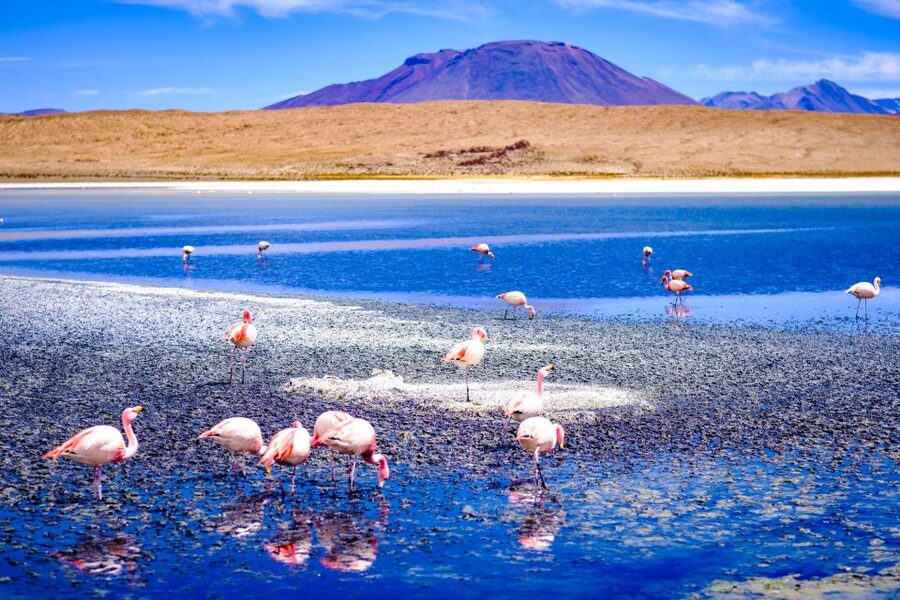 From La Paz: 4-Day Trip to San Pedro de Atacama w/Salt Flats - Geysers, hot springs, and the road to Chile