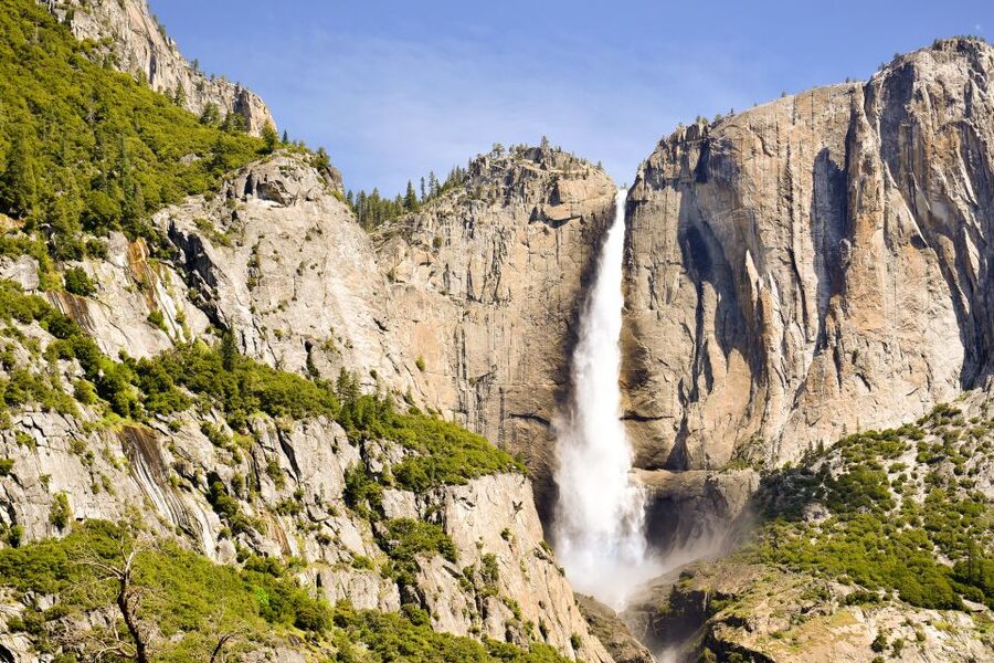 From Lake Tahoe: Yosemite National Park Day Trip with Lunch - What the guide adds to the experience