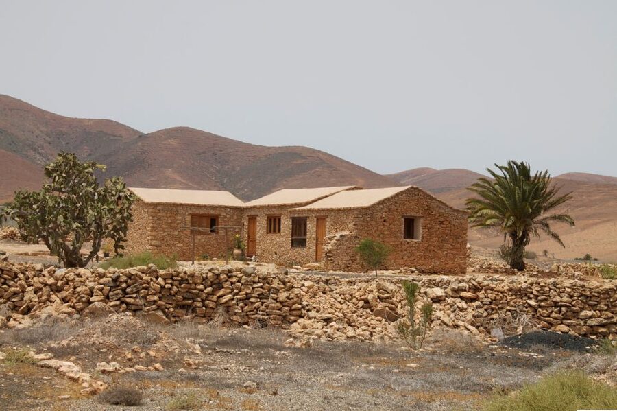 From Lanzarote: Fuerteventura Day Trip - Key points to know before booking