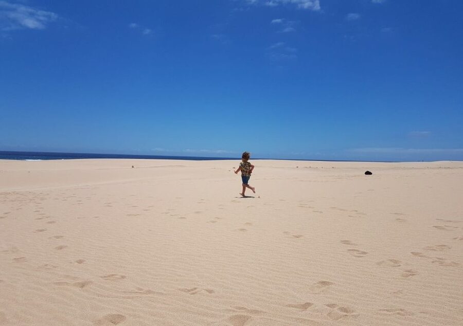 From Lanzarote: Fuerteventura Day Trip - Is $87 a fair price?