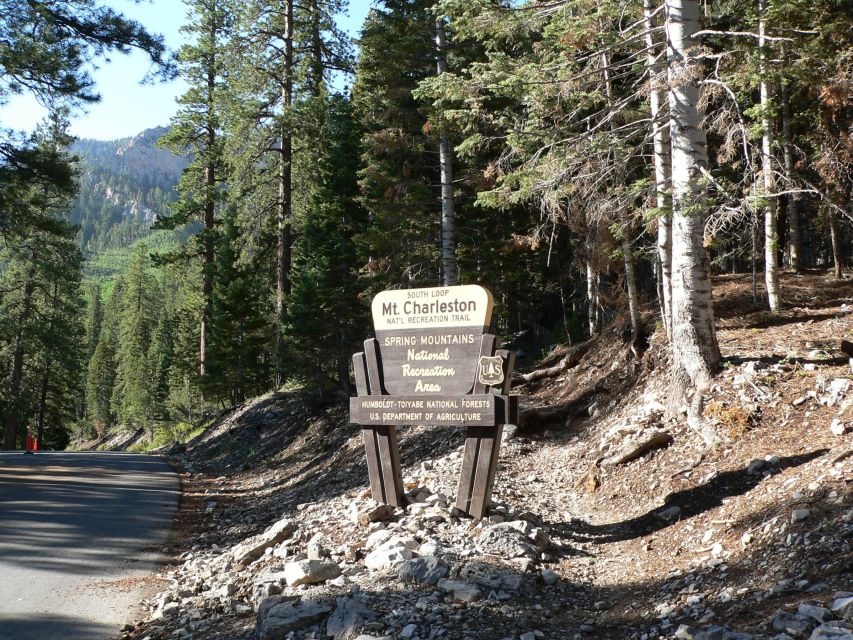 From Las Vegas: Day Trip to Mount Charleston Resort - Watching the desert turn into forest