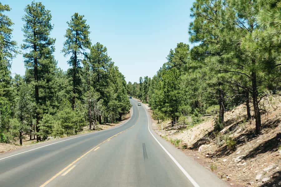 From Las Vegas: Grand Canyon South Rim Day Trip - How the guides shape the experience