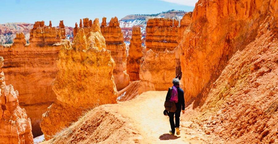 From Las Vegas: Zion and Bryce Canyon Day Trip with Pickup - The early pickup and the ride north