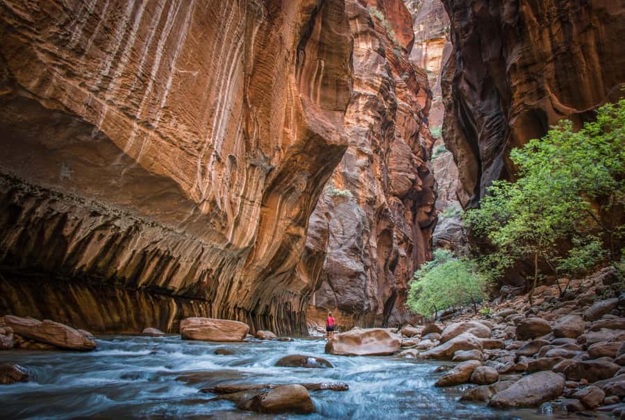 From Las Vegas: Zion National Park Day Trip - Entering Zion through the South Entrance