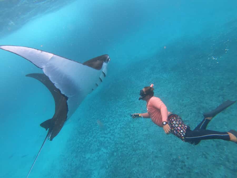 From Lembongan: Nusa Penida Snorkeling Day Trip - Key points to know before you book